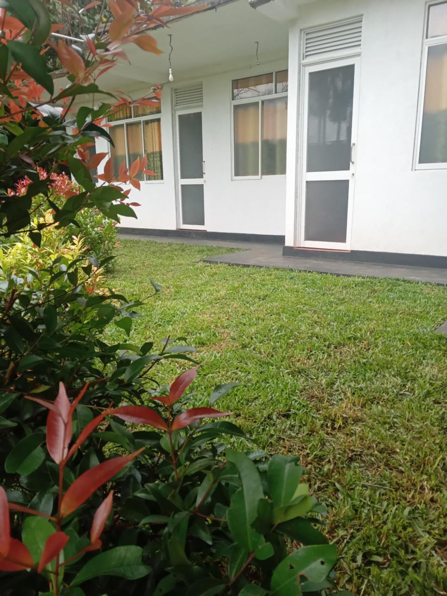 Rainforest Holiday Inn Deniyaya Esterno foto