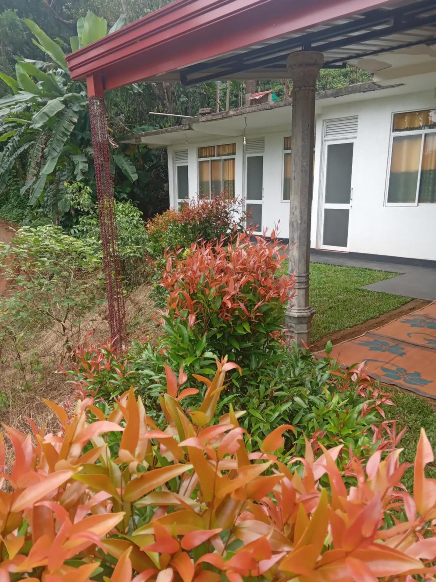 Rainforest Holiday Inn Deniyaya Esterno foto