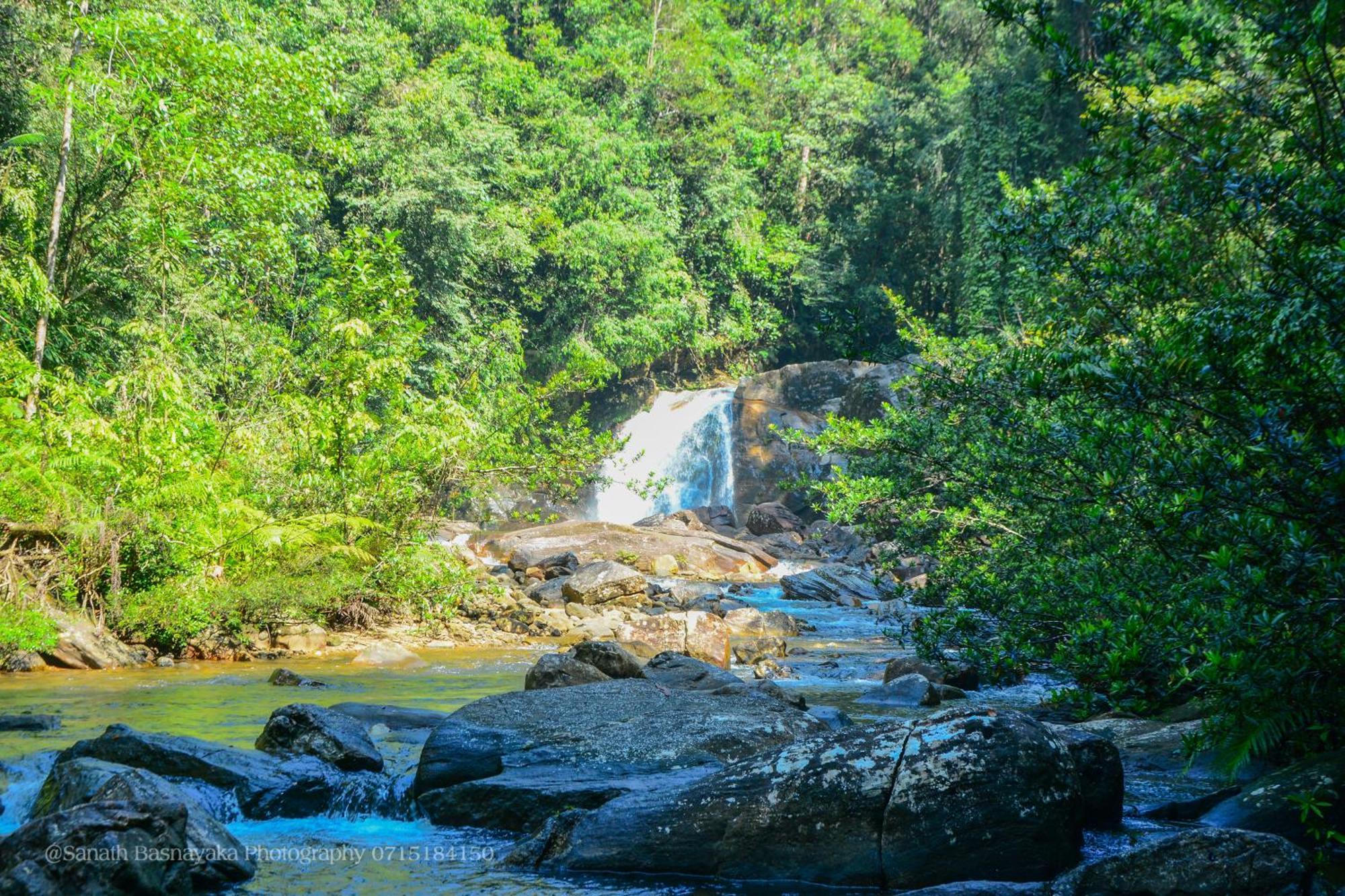 Rainforest Holiday Inn Deniyaya Esterno foto