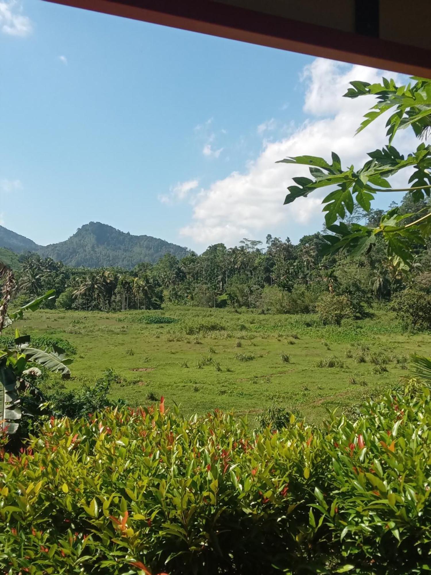 Rainforest Holiday Inn Deniyaya Esterno foto